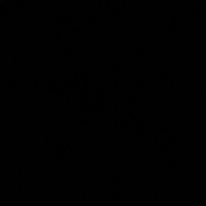 Meet your Posher, Leonard